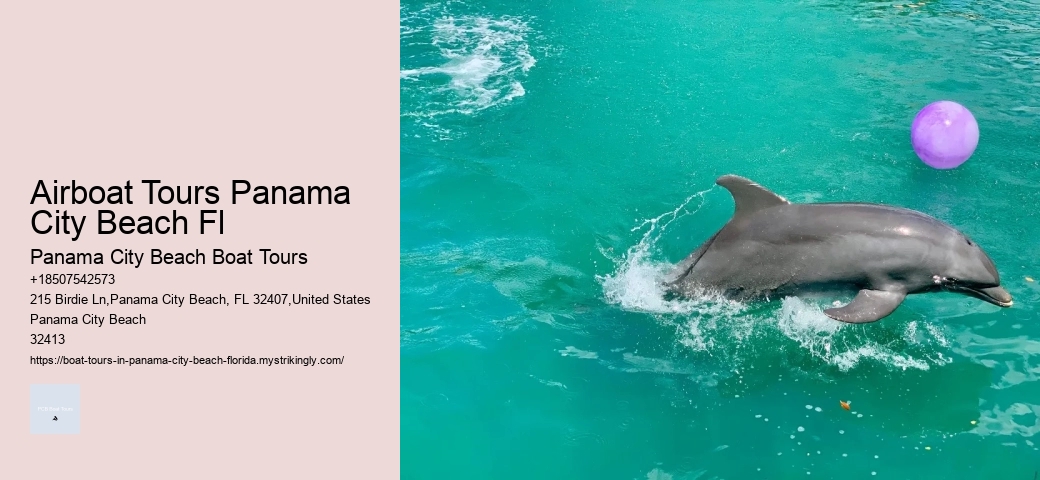 Swimming With Dolphins