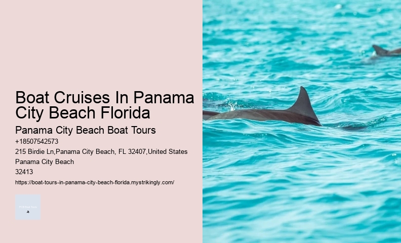 5 Tips For Swimming With Dolphins For The First Time