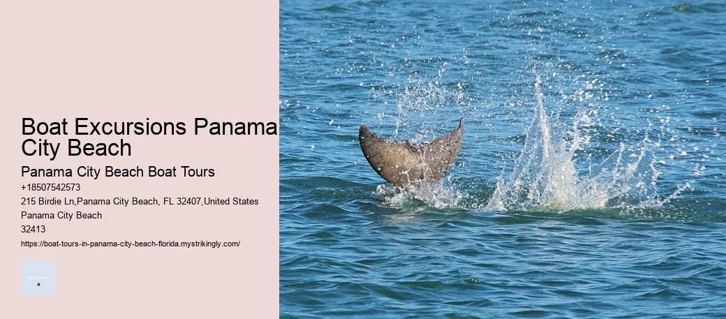 Boat Excursions Panama City Beach Panama City Beach Boat Tours Boat Excursions Panama City Beach