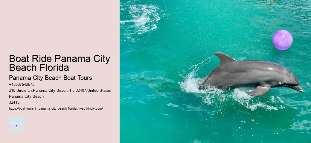 Dolphin Splash And Sightseeing Tours
