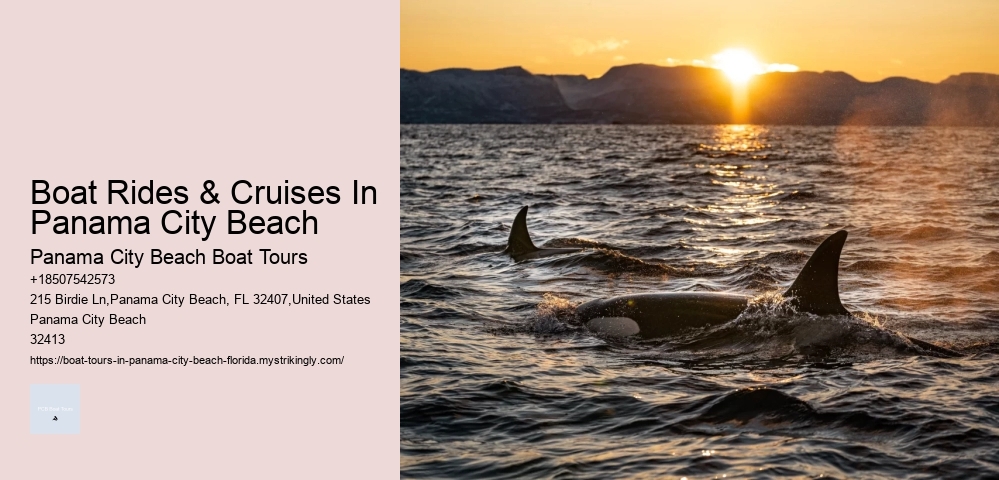Boat Rides & Cruises In Panama City Beach Panama City Beach Boat Tours Boat Rides & Cruises In Panama City Beach