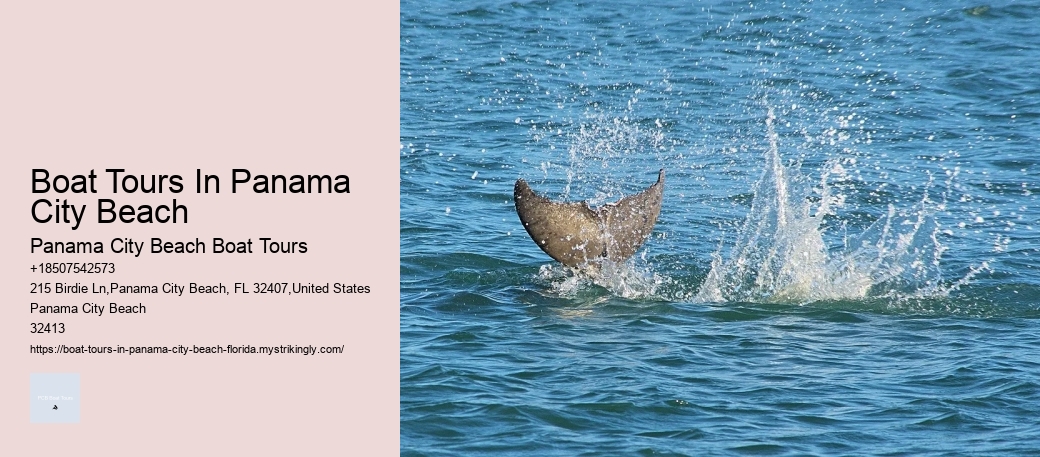 Seaside Exploration Tours