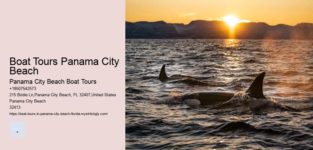 Boat Tours Panama City Beach Panama City Beach Boat Tours Boat Tours Panama City Beach