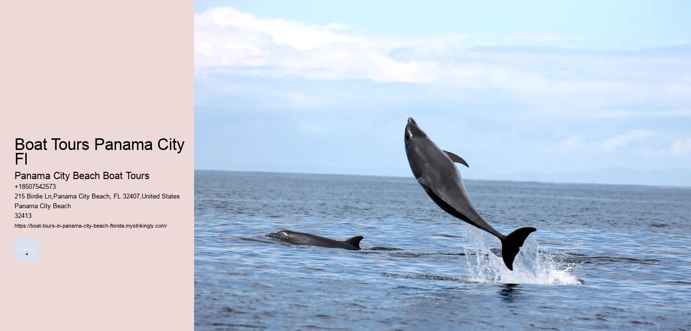 Boat Tours Panama City Fl Panama City Beach Boat Tours Boat Tours Panama City Fl