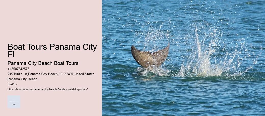 Group Eco-adventure Boat Tours