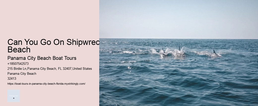 Can You Go On Shipwreck Beach Panama City Beach Boat Tours Can You Go On Shipwreck Beach
