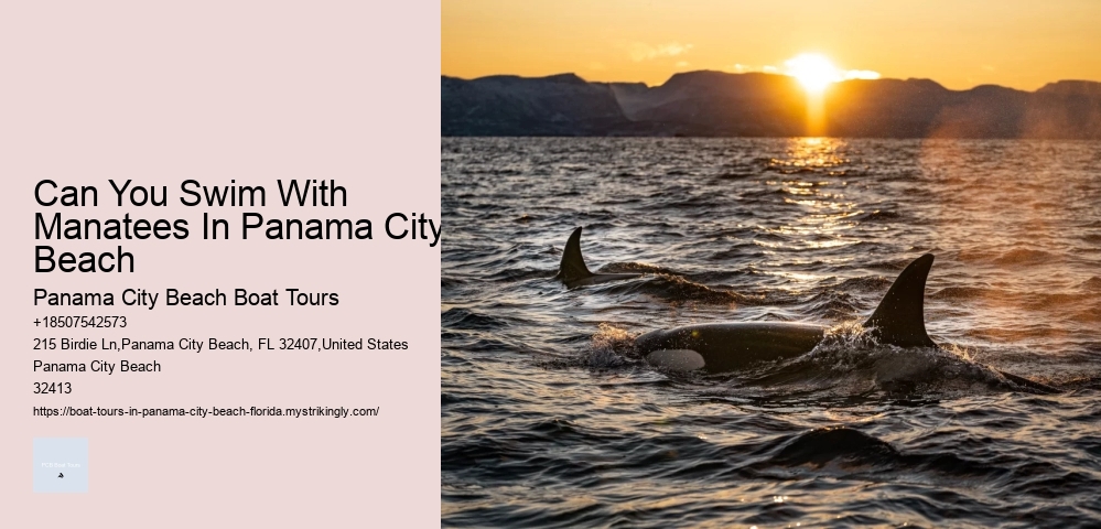 What To Pack For A Panama Cruise