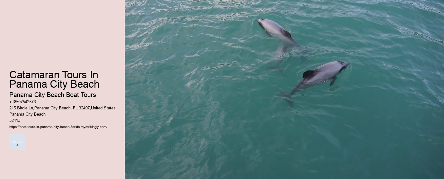 Catamaran Tours In Panama City Beach Panama City Beach Boat Tours Catamaran Tours In Panama City Beach
