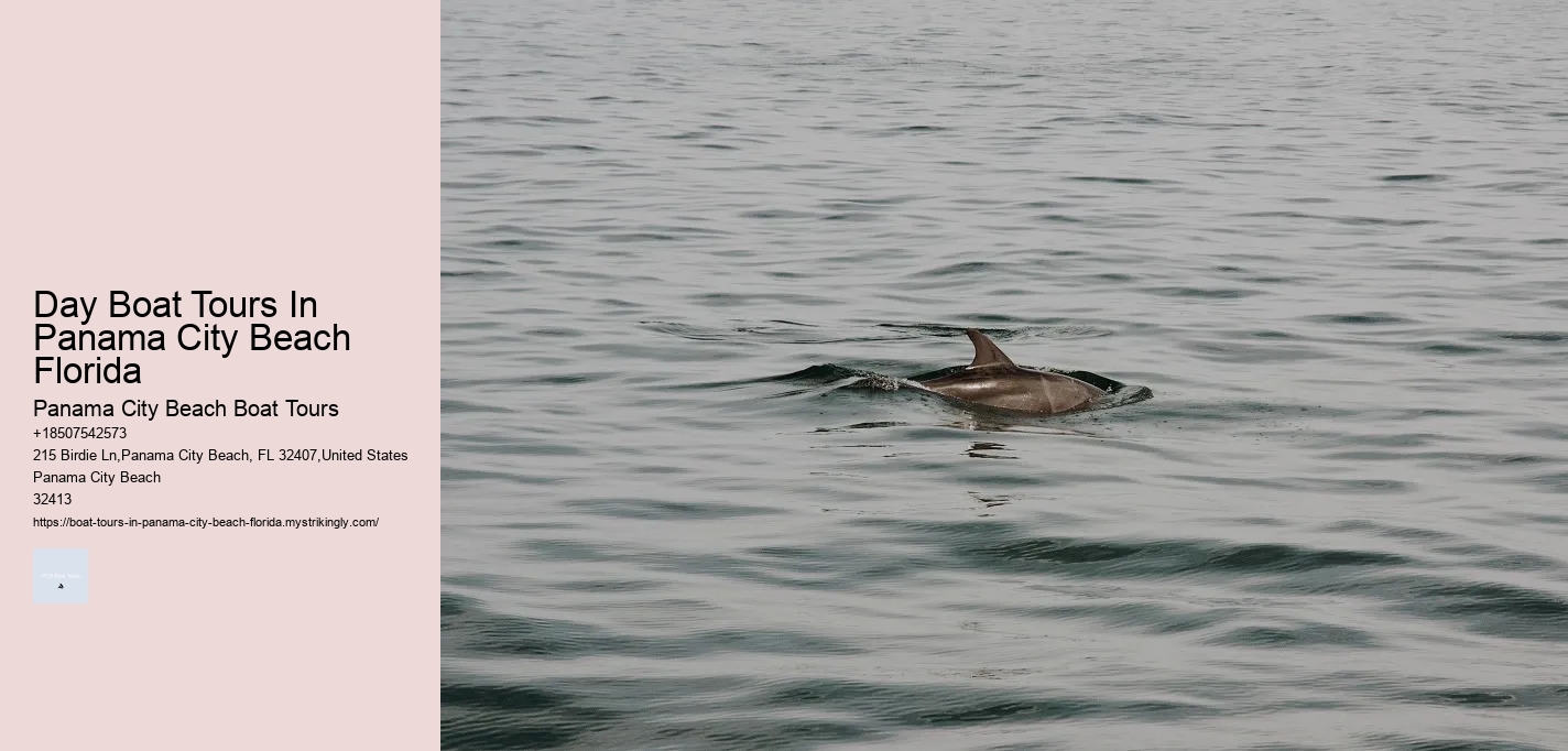 Day Boat Tours In Panama City Beach Florida Panama City Beach Boat Tours Day Boat Tours In Panama City Beach Florida