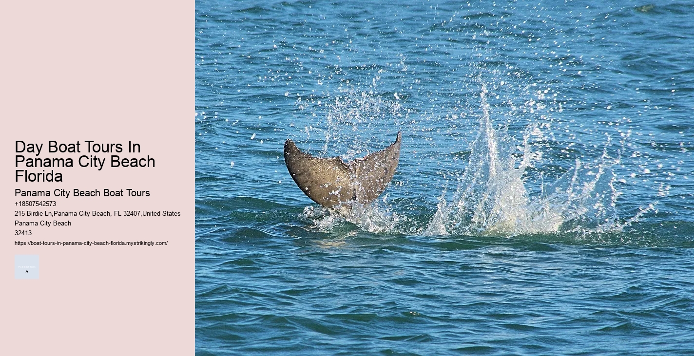 Dolphin Cruise In Panama City Beach Florida