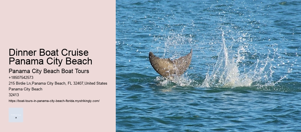 Day Boat Tours In Panama City Beach Florida