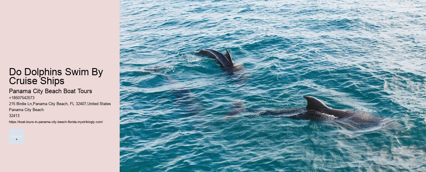 Do Dolphins Swim By Cruise Ships Panama City Beach Boat Tours Do Dolphins Swim By Cruise Ships