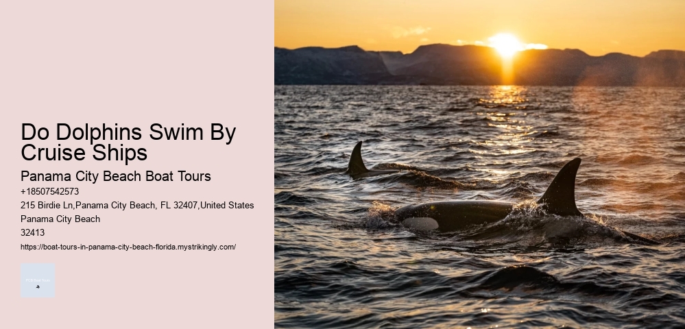 Tours In Panama