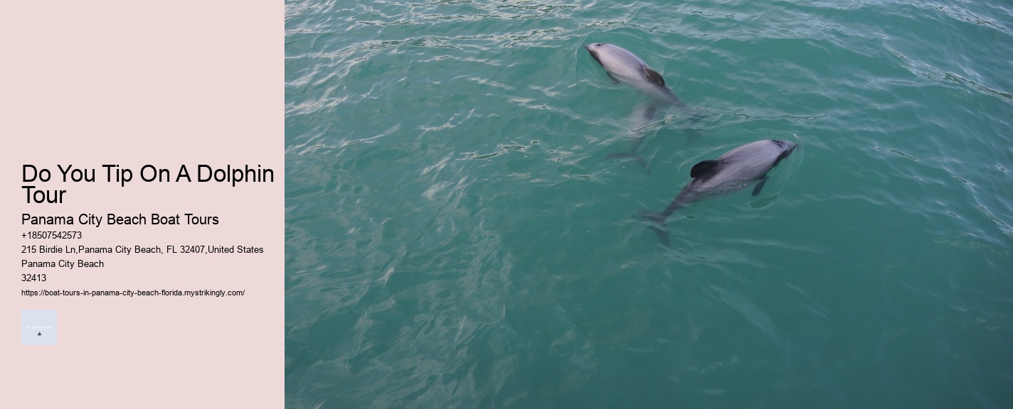 Do You Tip On A Dolphin Tour Panama City Beach Boat Tours Do You Tip On A Dolphin Tour