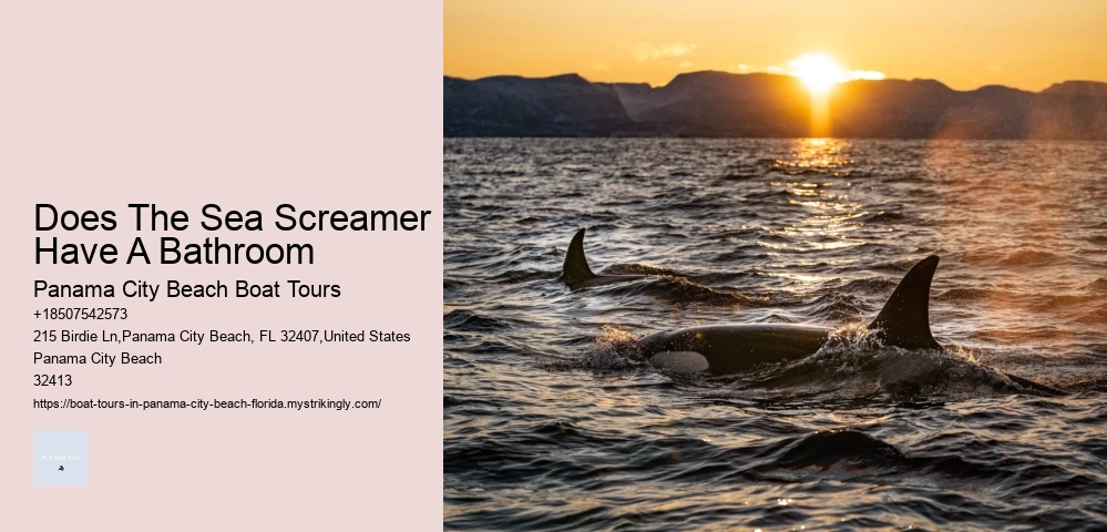 Does The Sea Screamer Have A Bathroom Panama City Beach Boat Tours Does The Sea Screamer Have A Bathroom
