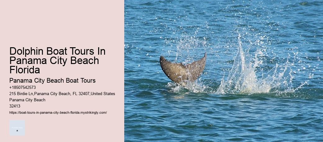 Dolphin Boat Tours In Panama City Beach Florida Panama City Beach Boat Tours Dolphin Boat Tours In Panama City Beach Florida