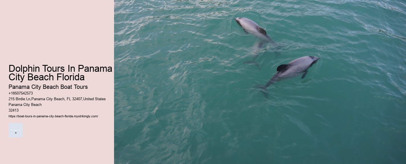 Dolphin Tours In Panama City Beach Florida Panama City Beach Boat Tours Dolphin Tours In Panama City Beach Florida