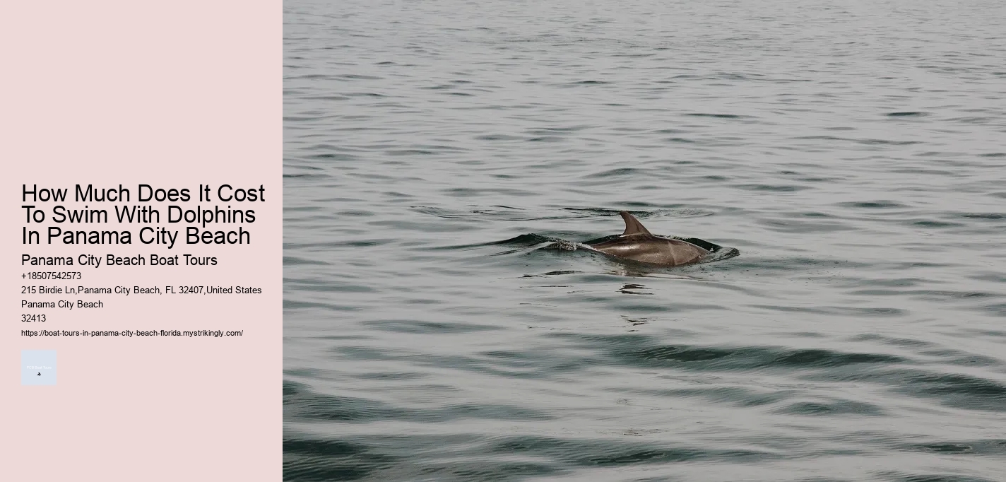 How Much Does It Cost To Swim With Dolphins In Panama City Beach Panama City Beach Boat Tours How Much Does It Cost To Swim With Dolphins In Panama City Beach