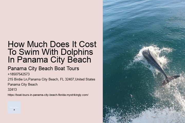 Is It Safe For Humans To Swim With Dolphins