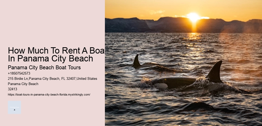 Pcb Shelling Boat Tours