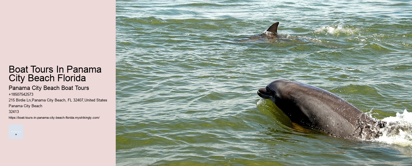 Boat Tours In Panama City Beach Florida Panama City Beach Boat Tours Boat Tours In Panama City Beach Florida