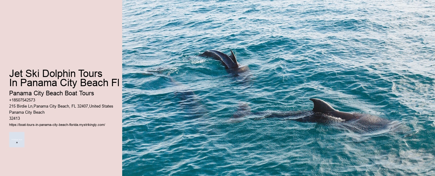 Jet Ski Dolphin Tours In Panama City Beach Fl Panama City Beach Boat Tours Jet Ski Dolphin Tours In Panama City Beach Fl