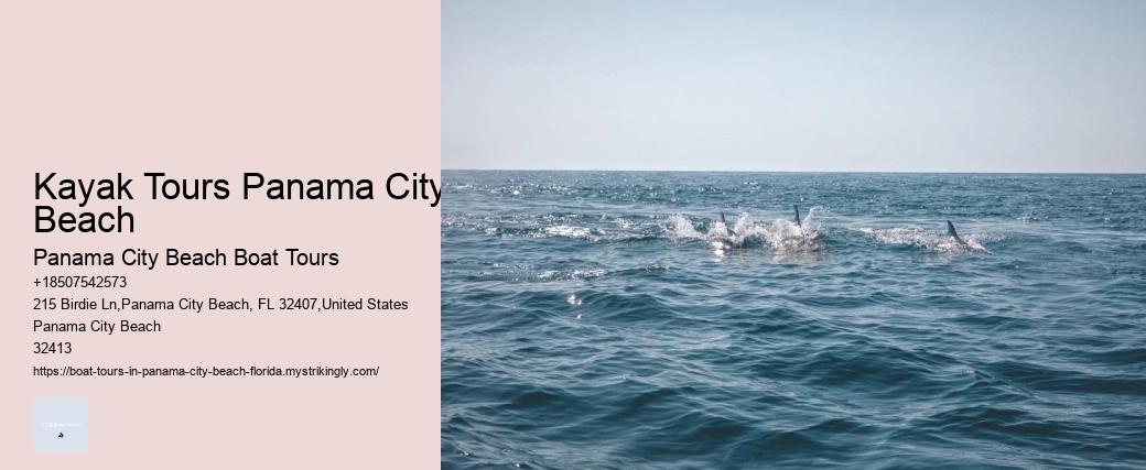 Kayak Tours Panama City Beach Panama City Beach Boat Tours Kayak Tours Panama City Beach