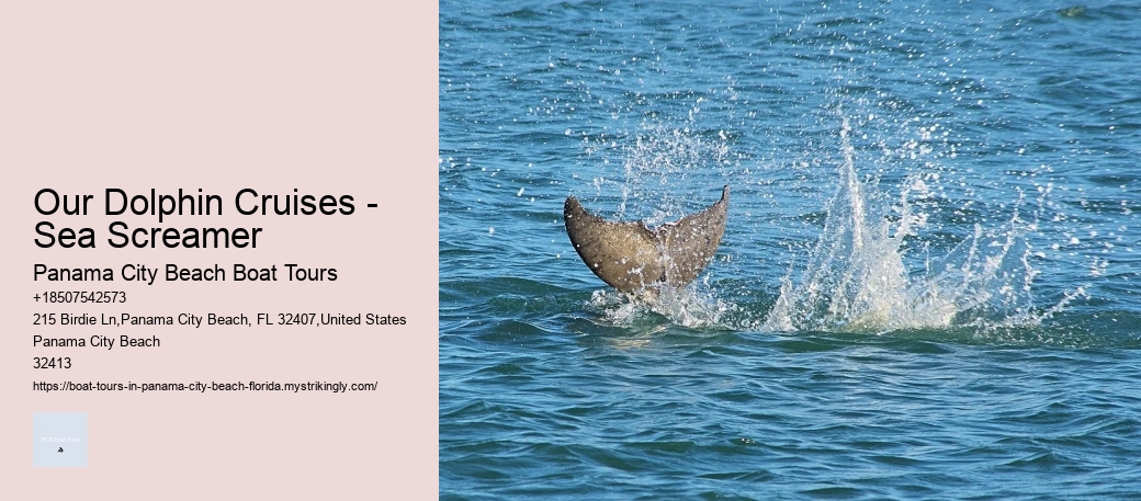 Sea Screamer Dolphin Cruises | Panama City Beach, Fl