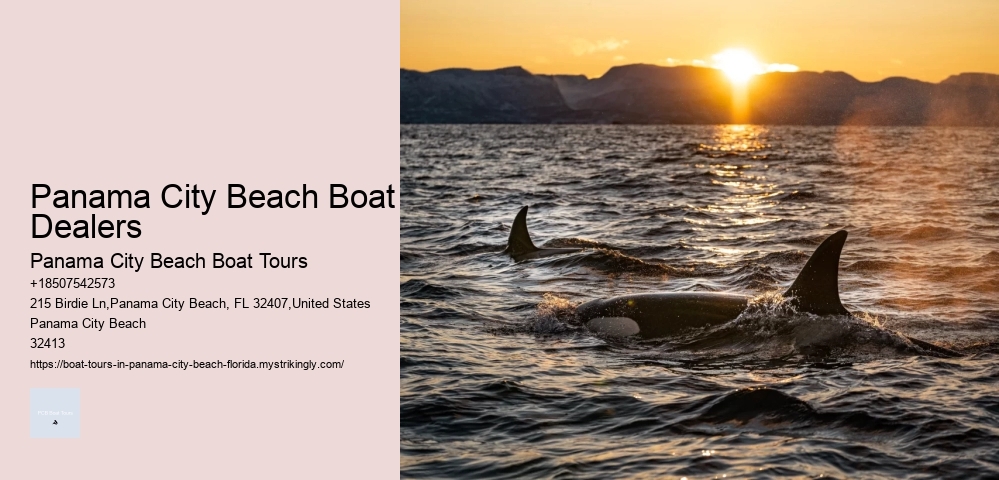 Panama City Beach Boat Dealers Panama City Beach Boat Tours Panama City Beach Boat Dealers