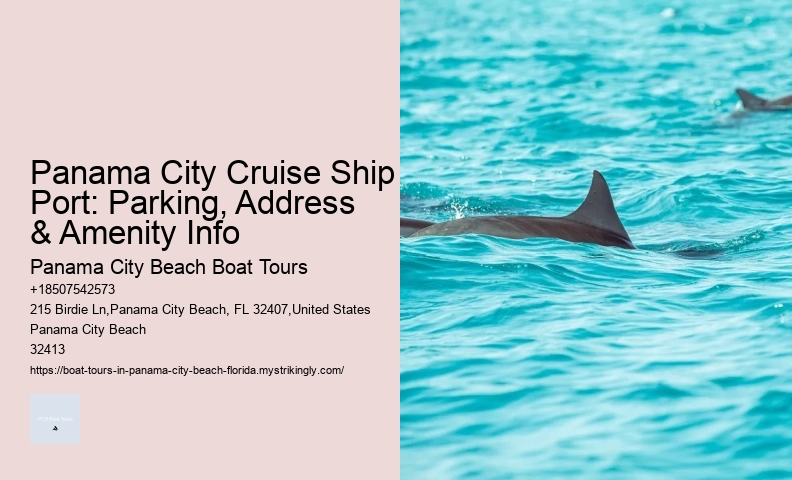 Can You Swim With Manatees In Panama City Beach