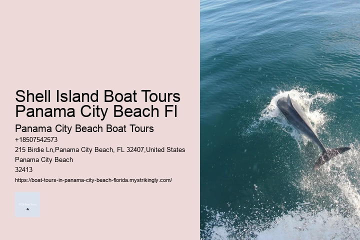 Pcb Snorkel And Sailboat Excursions