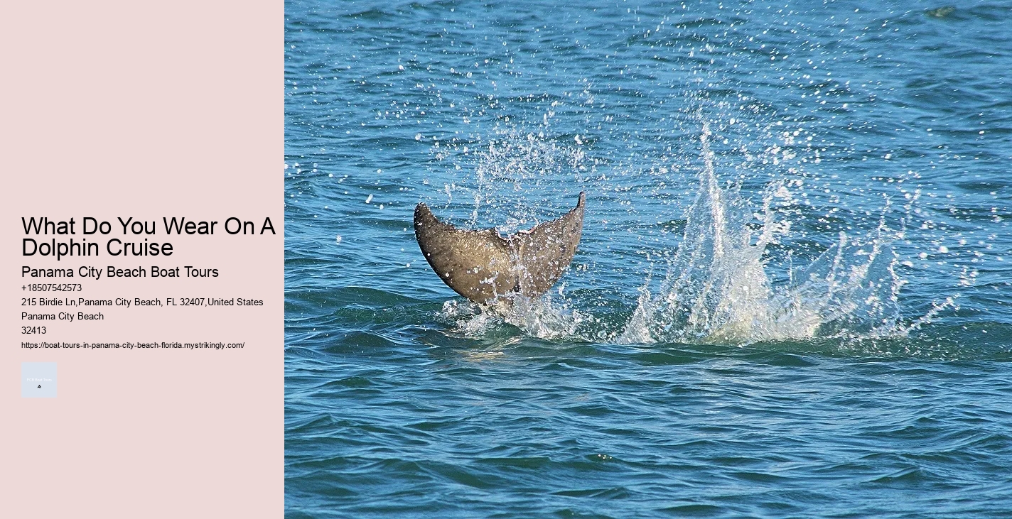 Pcb Deep Sea Fishing Tours