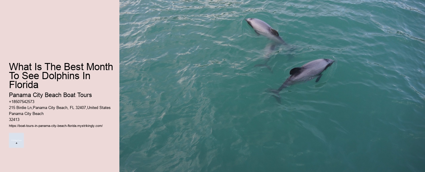 What Is The Best Month To See Dolphins In Florida Panama City Beach Boat Tours What Is The Best Month To See Dolphins In Florida