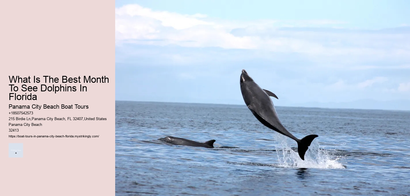 Boat Tours Panama City Fl