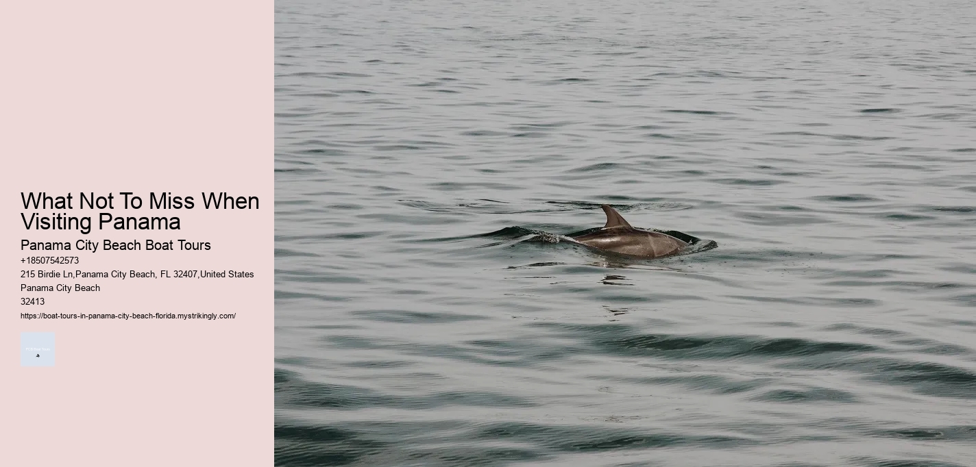 What Not To Miss When Visiting Panama Panama City Beach Boat Tours What Not To Miss When Visiting Panama
