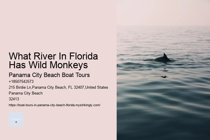 What River In Florida Has Wild Monkeys Panama City Beach Boat Tours What River In Florida Has Wild Monkeys
