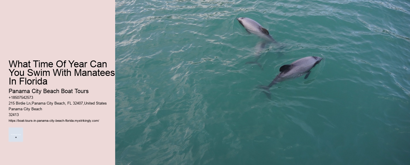 What Time Of Year Can You Swim With Manatees In Florida Panama City Beach Boat Tours What Time Of Year Can You Swim With Manatees In Florida