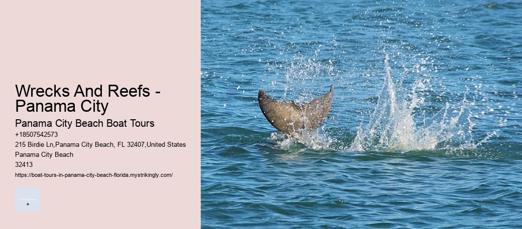 Panama City Beach Boat Tours To Shell Island